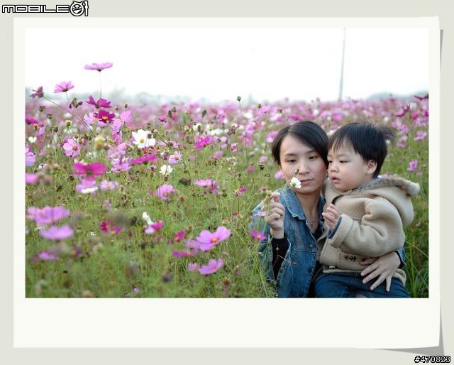 新社花海D200+17-55隨拍