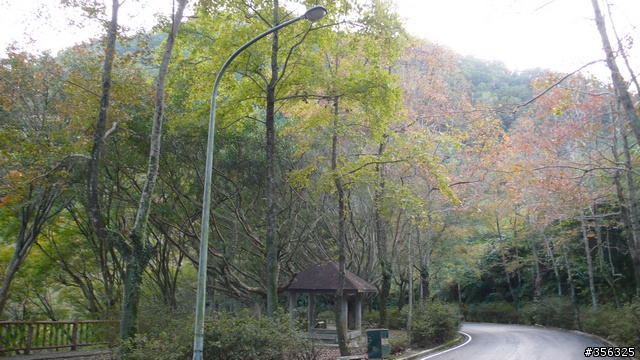 [遊記] 楓紅了....石門水庫單車賞楓探路行