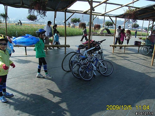 看新社花海不會塞車的路線,中正公園南坑巷-崑山-新社花海