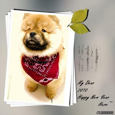 有養鬆獅的來蓋大樓吧~  2/5更新