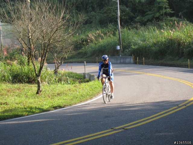阿里山路況最新報導