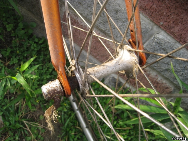 新手請教..這台車老車的來歷,及鋼管是否需重噴或有安全顧慮...(一般騎乘用)