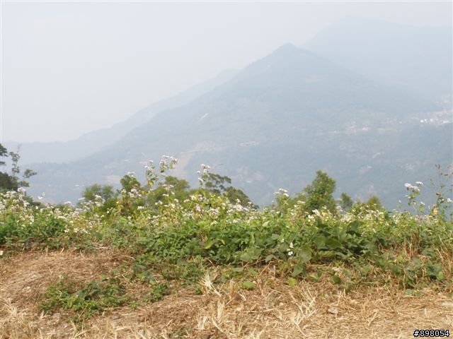 【旅遊】分享涼山瀑布&瑪家鄉風味餐