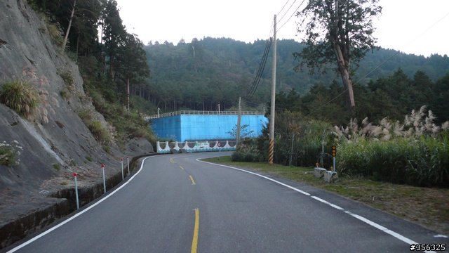 [遊記] 楓紅了part 3....2009阿里山-新中橫單車賞楓紀行