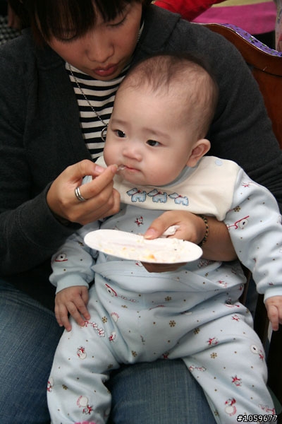 慶生‧湯圓之小橘子篇