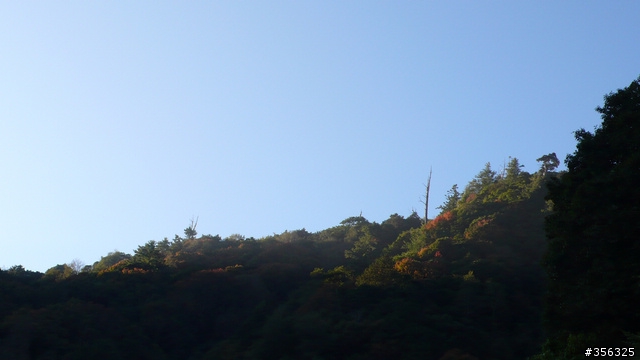[遊記] 楓紅了part 3....2009阿里山-新中橫單車賞楓紀行