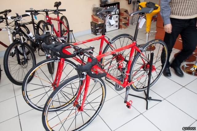 馬中赤兔 人中拉拉  |  雲豹953 x 2