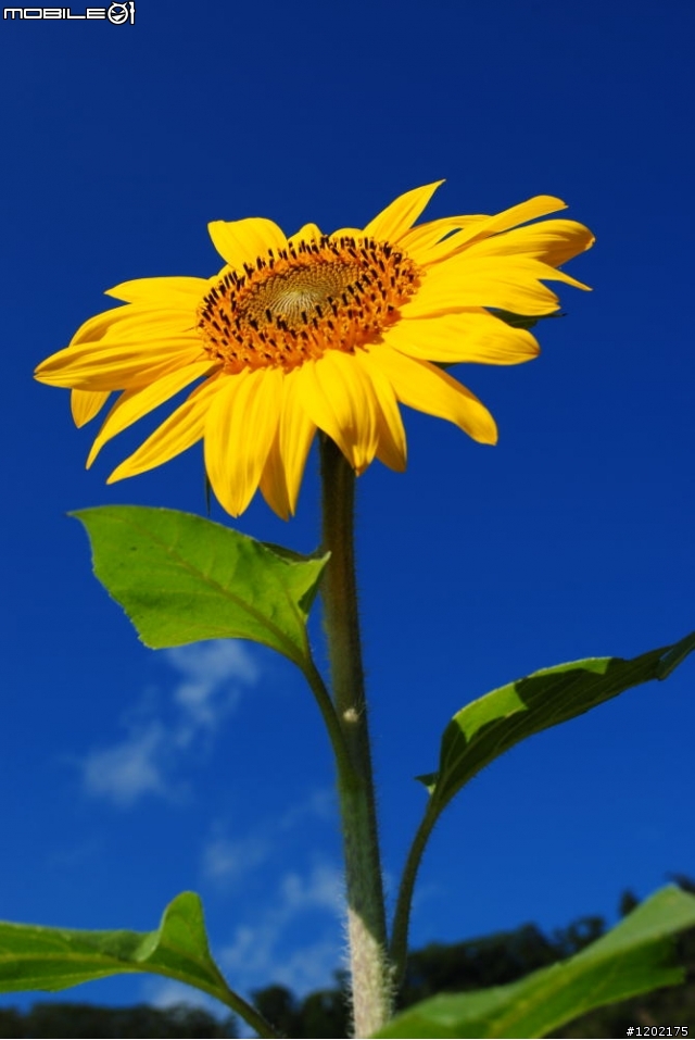 D3000小折車環島精選相片