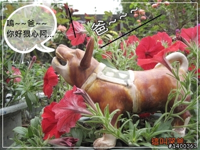 [偽廣告文]驚驚賣古董時間-被拋棄的阿告 (請大家幫忙鑑定一下)