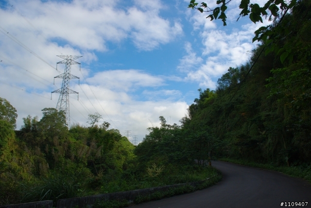 羅山林道 - 楓葉轉紅