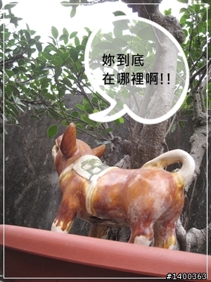[偽廣告文]驚驚賣古董時間-被拋棄的阿告 (請大家幫忙鑑定一下)