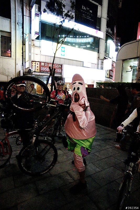 1212遲交的野貓賽照片