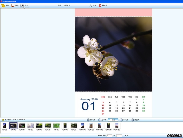 [091229] EPSON DIY 2010桌曆組
