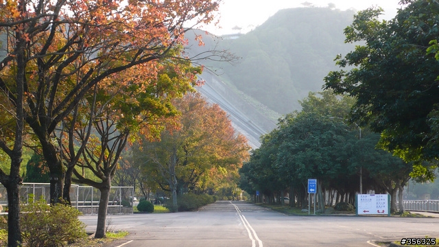 [遊記] 楓紅了....石門水庫單車賞楓探路行