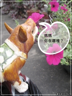 [偽廣告文]驚驚賣古董時間-被拋棄的阿告 (請大家幫忙鑑定一下)