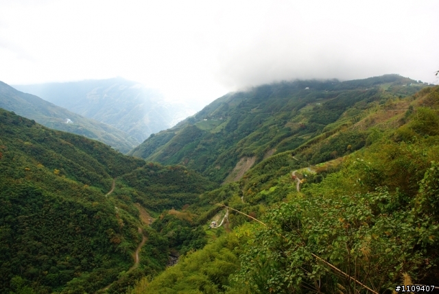 羅山林道 - 楓葉轉紅