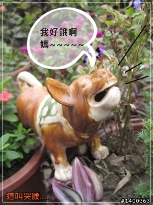 [偽廣告文]驚驚賣古董時間-被拋棄的阿告 (請大家幫忙鑑定一下)