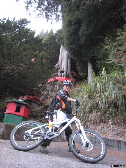 騎車、爬山兩相宜之郡大林道 (新增下坡影片)