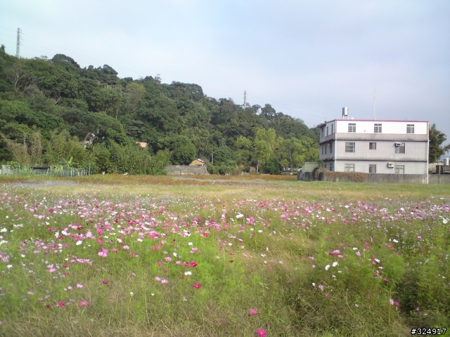 [分享]12/13 三峽鶯歌吃吃喝喝行[加碼石門水庫]