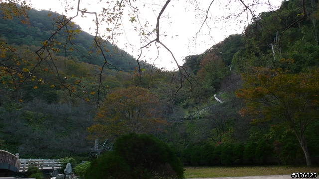 [遊記] 楓紅了....石門水庫單車賞楓探路行