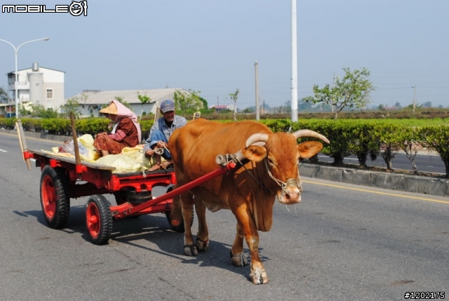 D3000小折車環島精選相片