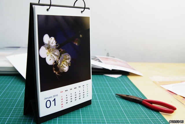 [091229] EPSON DIY 2010桌曆組