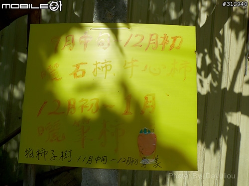 帶著大砲曬太陽