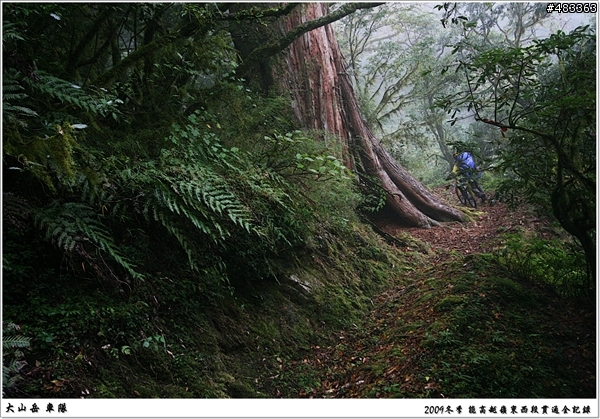2010年初冬  大山。岳車隊能高越嶺東西段貫通探堪行