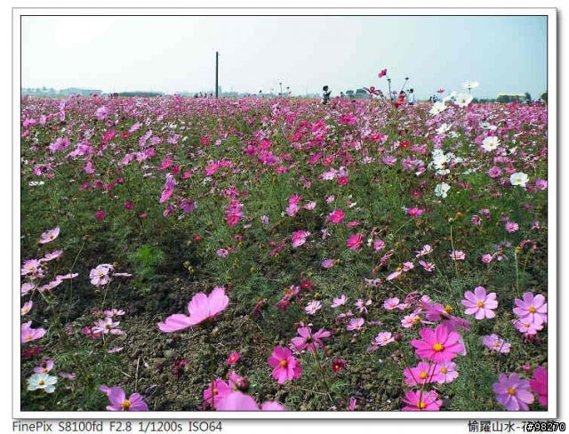 [分享]在寒冷的冬天中能做的三、兩事...