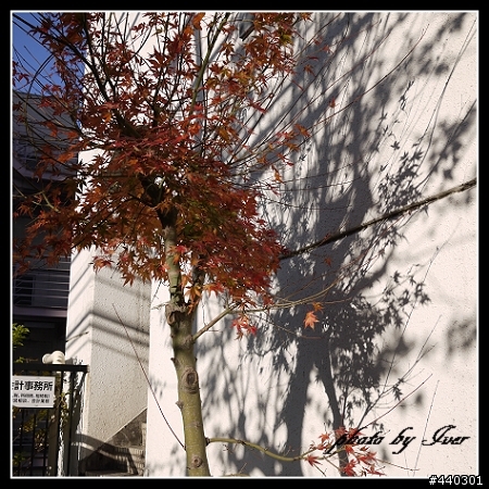 純‧GF-1專屬大樓