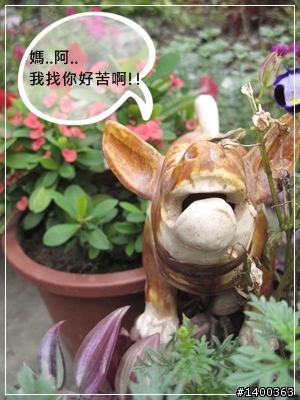 [偽廣告文]驚驚賣古董時間-被拋棄的阿告 (請大家幫忙鑑定一下)