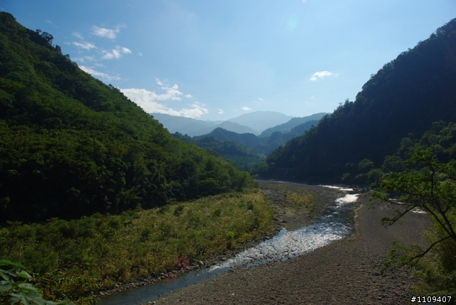 羅山林道 - 楓葉轉紅