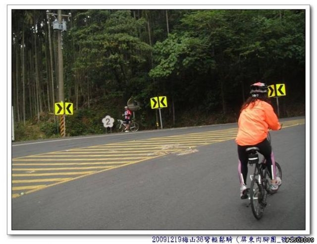 【遊記分享】嘉義梅山36彎+華山咖啡