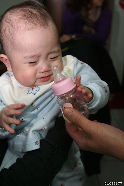 慶生‧湯圓之小橘子篇