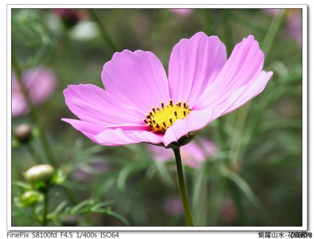 [分享]在寒冷的冬天中能做的三、兩事...