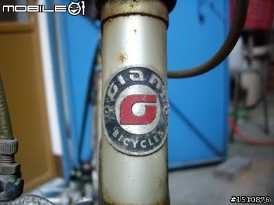 回憶重現...GIANT ROADACE...新版老鋼管