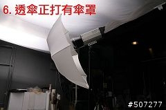 At.5 棚燈光源性質試驗 來看看差別吧！
