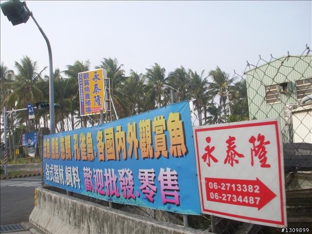 今年最終賽事，2009前進南都100K自行車挑戰賽