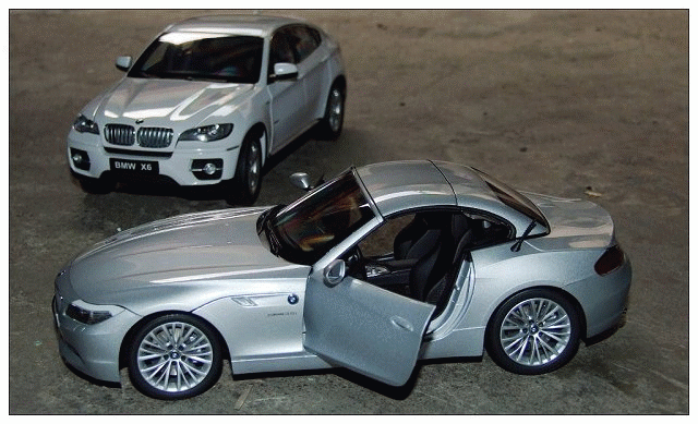 (E89) Z4 & X6 xDrive50i  的相遇