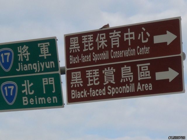 環臺三部曲---更新至全文結束