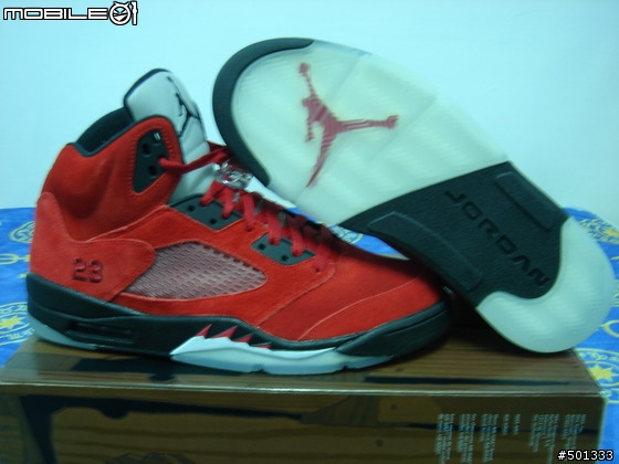 寄錯的一組球鞋><"(下)AIR JORDAN 五代 DMP