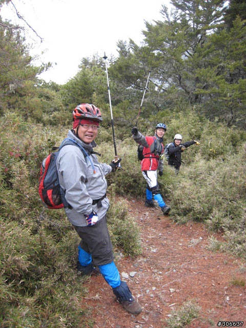 騎車、爬山兩相宜之郡大林道 (新增下坡影片)