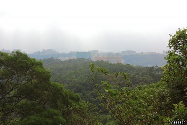 小百岳-十八尖山（順撿十八尖山東峰）