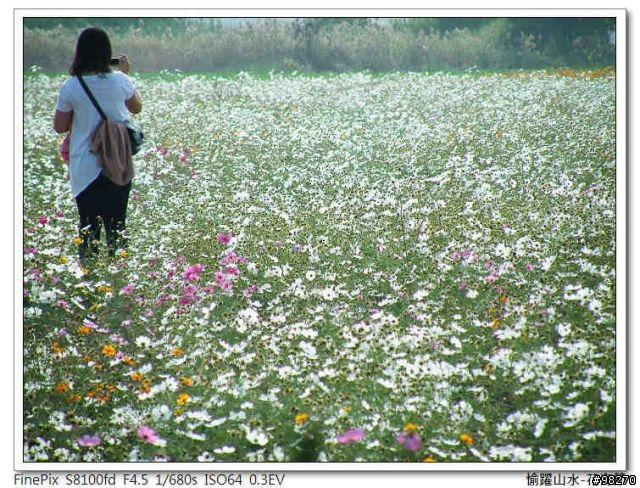 [分享]在寒冷的冬天中能做的三、兩事...