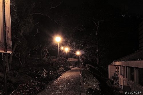 新手拍夜景，東海大學一角。