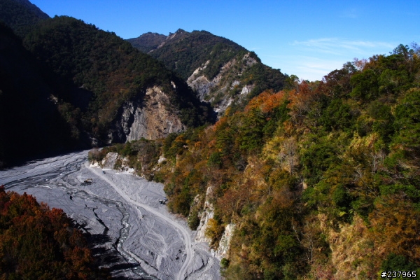 (員工旅遊)新社古堡+清境+奧萬大天梯