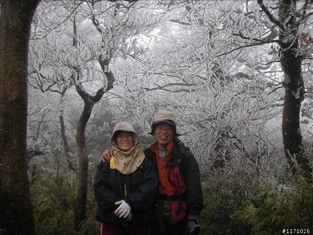 好康報你知—民國百年 北插天山霧淞饗宴開鑼了，手腳要快