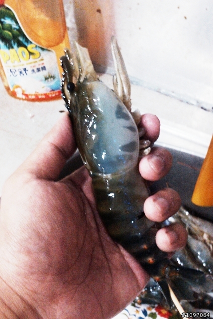 有沒有人想出來挑戰大公蝦in板橋?