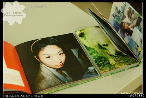 [LOMO] 開箱文 MINI Diana