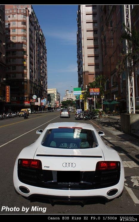 雪白R8終於被我遇到了